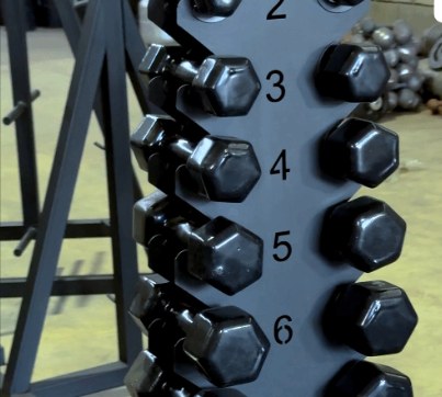 Halteres e Dumbbells